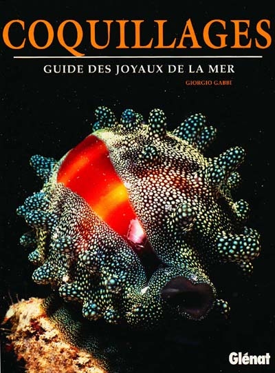 Coquillages : guide des joyaux de la mer