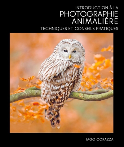 Introduction à la photographie animalière : techniques et conseils pratiques