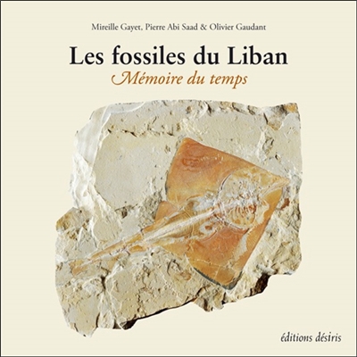 Les fossiles du Liban : mémoire du temps