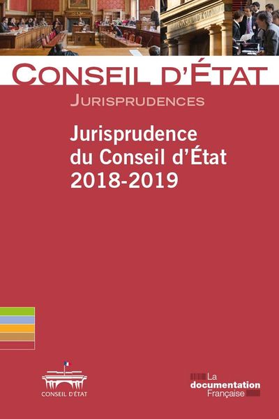 Jurisprudence du Conseil d'Etat 2018-2019