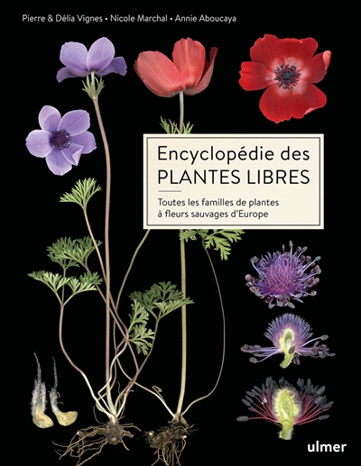 Encyclopédie des plantes libres : toutes les familles de plantes à fleurs sauvages d'Europe