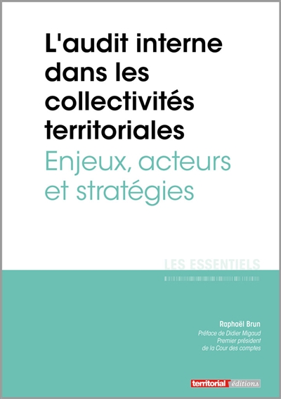 L'audit interne dans les collectivités territoriales : enjeux, acteurs et stratégies