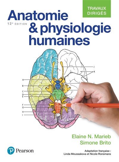 Anatomie & physiologie humaines : travaux dirigés