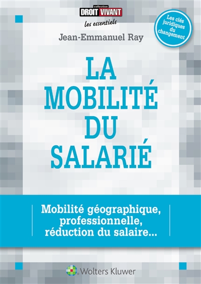 La mobilité du salarié : mobilité géographique, professionnelle, réduction du salaire