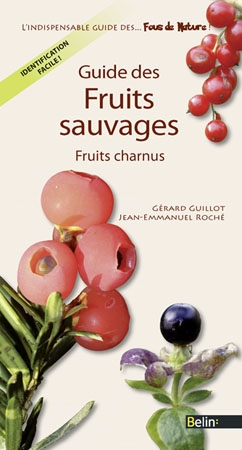 Guide des fruits sauvages fruits charnus
