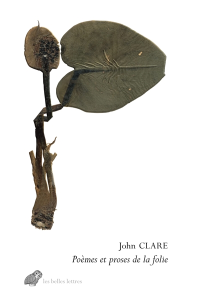 Poèmes et proses de la folie Suivi de La psychose de John Clare