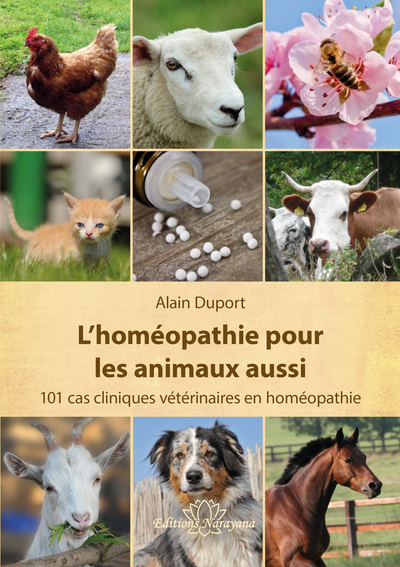 Homéopathie pour les animaux : les 15 meilleurs remèdes en cas de blessure