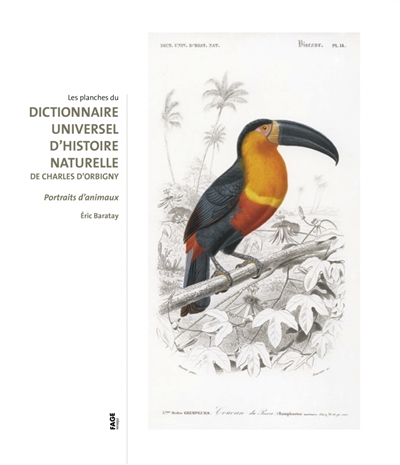 Les planches du "Dictionnaire universel d'histoire naturelle" de Charles d'Orbigny : portraits d'animaux