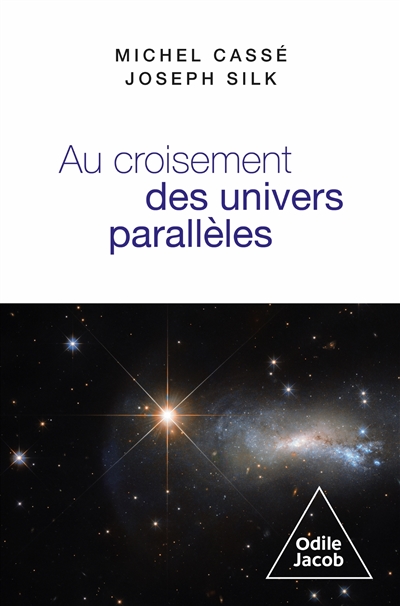 Au croisement des univers parallèles : cosmologie et métacosmologie