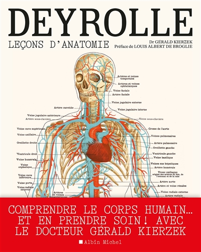 Deyrolle : leçons d'anatomie