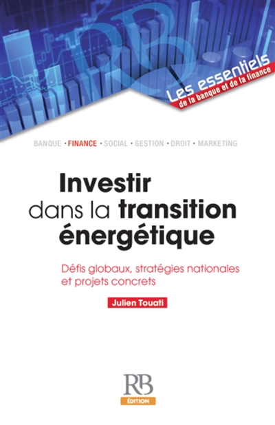 Investir dans la transition énergétique : défis globaux, stratégies nationales, projets concrets