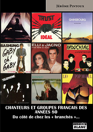 Chanteurs et groupes français des années 80 : du côté de chez les branchés