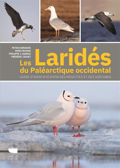Les Laridés du Paléarctique occidental : guide d'identification des mouettes et des goélands