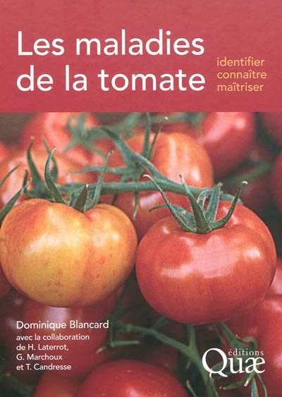 Les maladies de la tomate : identifier, connaître, maîtriser