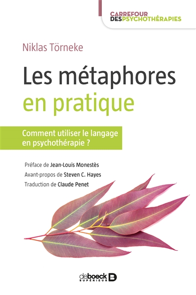 Les métaphores en pratique : comment utiliser le langage en psychothérapie ?