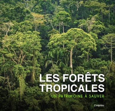 Les forêts tropicales : un patrimoine à sauver