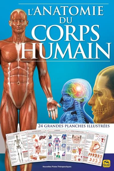 L'anatomie du corps humain : 24 grandes planches illustrées
