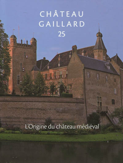 L'origine du château médiéval : actes du colloque international de Rindern, Allemagne, 28 août-3 septembre 2010
