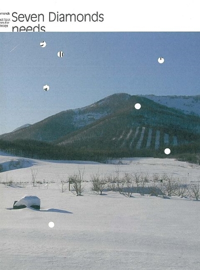 Didier Courbot : Seven Diamonds : [exposition, Centre d'art contemporain d'Ivry, Galerie Fernand Léger, 16 avril - 14 juin 2009]
