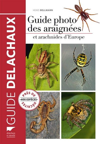 Guide photo des araignées et autres arachnides d'Europe