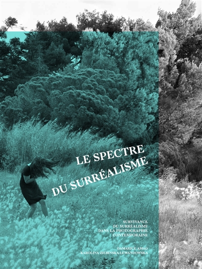 Le spectre du surréalisme : Rencontres photographiques d'Arles 2017. Survivance du surréalisme dans la photographie contemporaine