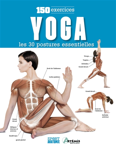 Yoga : les 30 postures essentielles : 150 exercices / ;