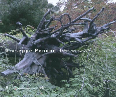 Giuseppe Penone : "Arbre des voyelles" : "Ramenez nous dans la forêt, dans l'obscurité, dans l'ombre, dans le parfum des sous-bois, dans la stupeur de la cathédrale qui naît dans la forêt"