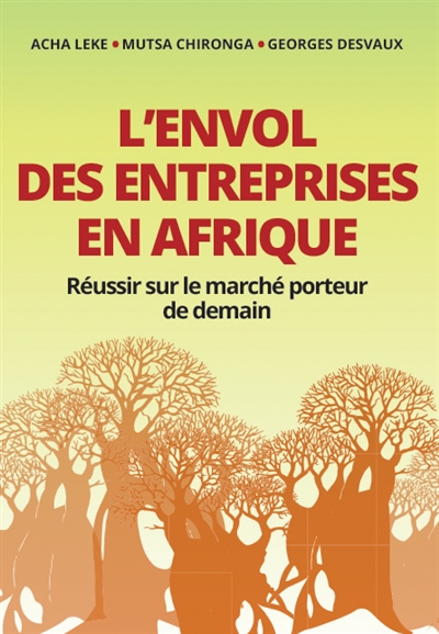 L'envol des entreprises en Afrique : réussir sur le marché porteur de demain