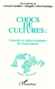 Chocs de cultures : concepts et enjeux pratiques de l'interculturel